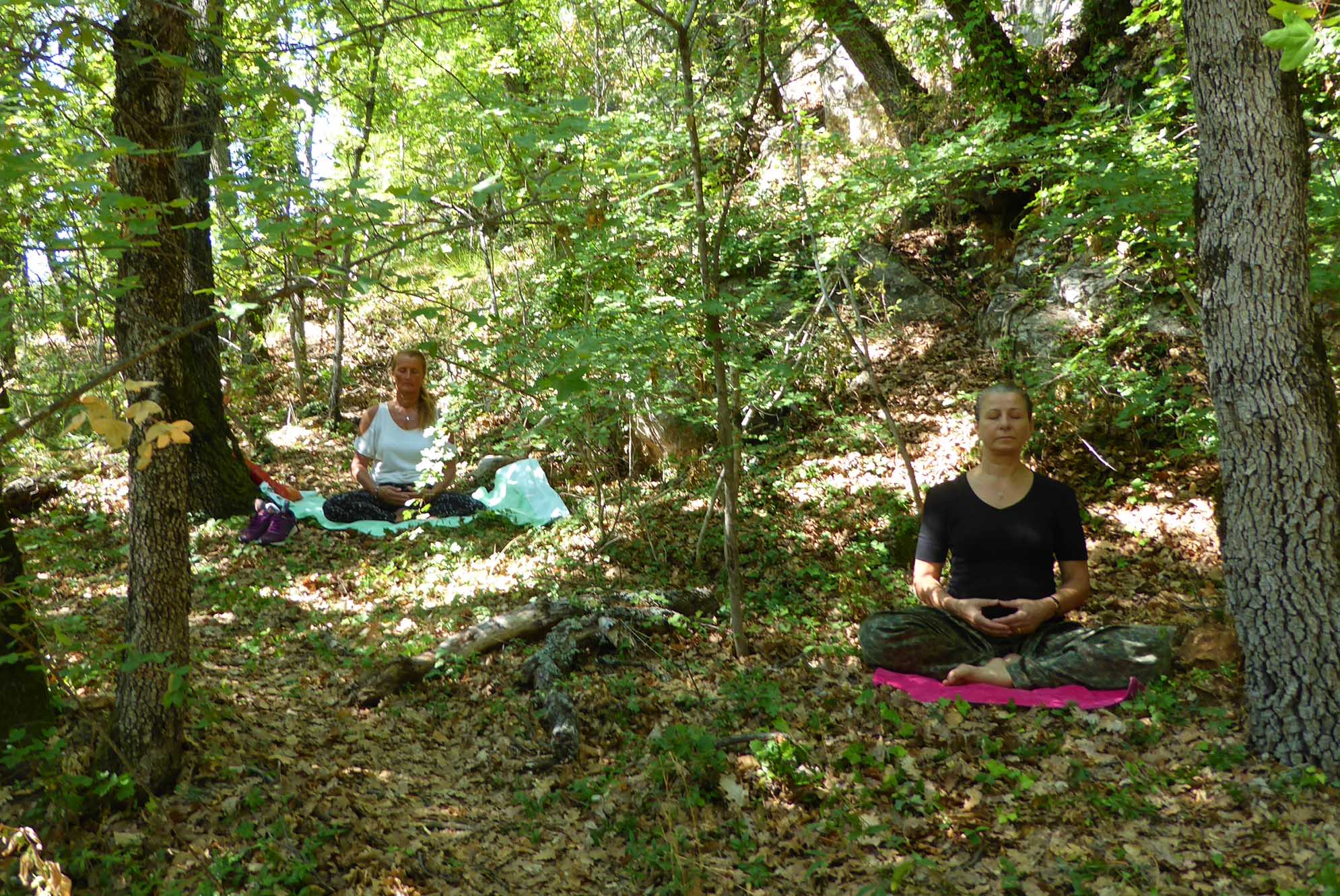 retraite yoga Luberon