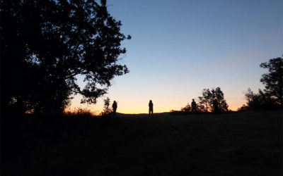 Reportage : une journée de retraite de yoga en Provence